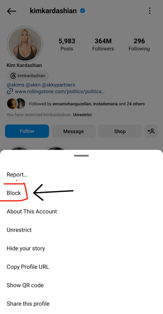 Localiza el perfil y bloquéalo 2